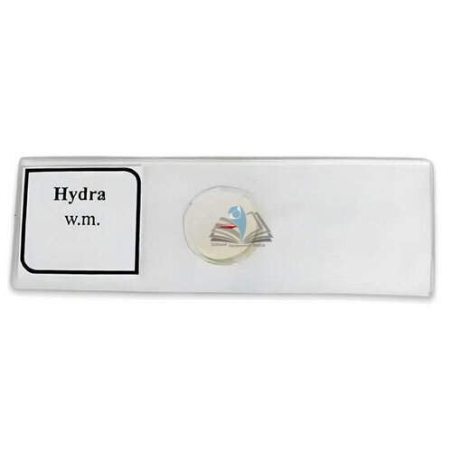 Hydra Slide